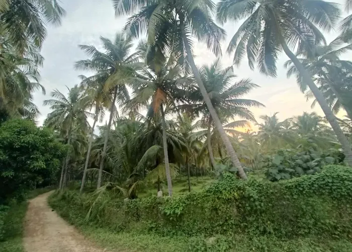 Evergreen Homestay